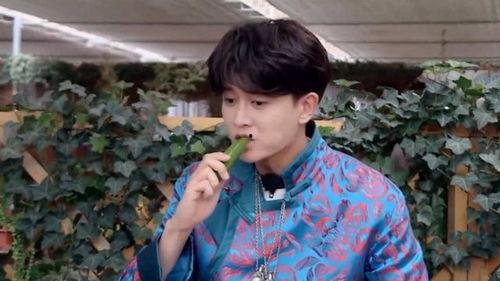 刘宇宁娱乐圈吃瓜