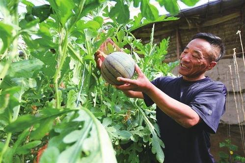 网络吃瓜合集,盘点年度热门事件与幕后真相