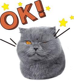 娱乐吃瓜酱猫尾巴,揭秘娱乐圈那些不为人知的幕后故事