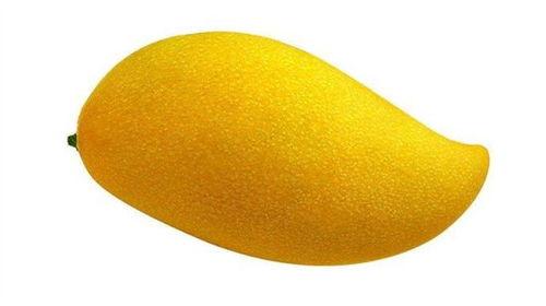 芒芒果娱乐吃瓜