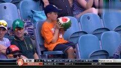 吃瓜群众奇葩娱乐