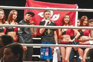 吃瓜娱乐拳击比赛视频大全,精彩拳击比赛视频大盘点